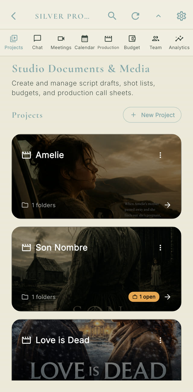 Projects inside FLIK Studio